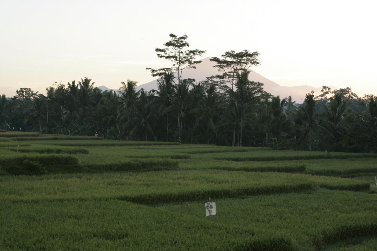 Viceroy Bali - Chse Certified 5*
